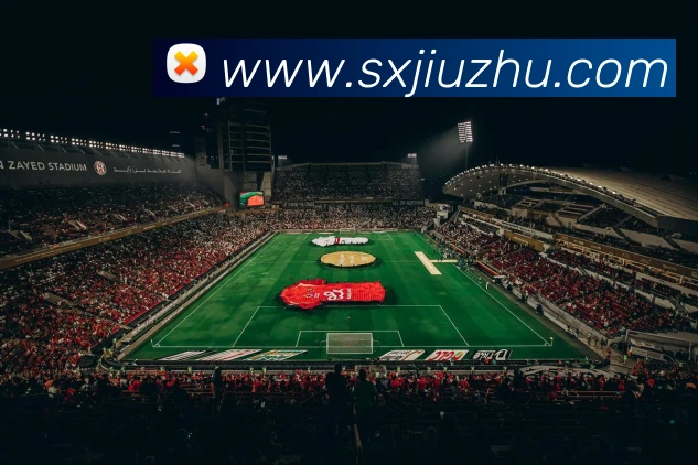 星空平台生态图